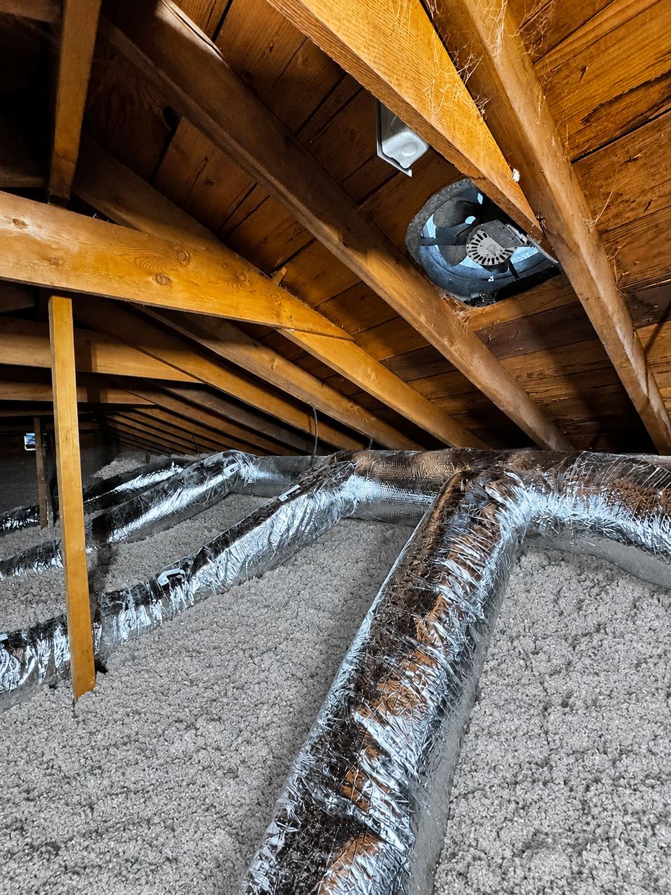 Insulated ducts over fresh cellulose